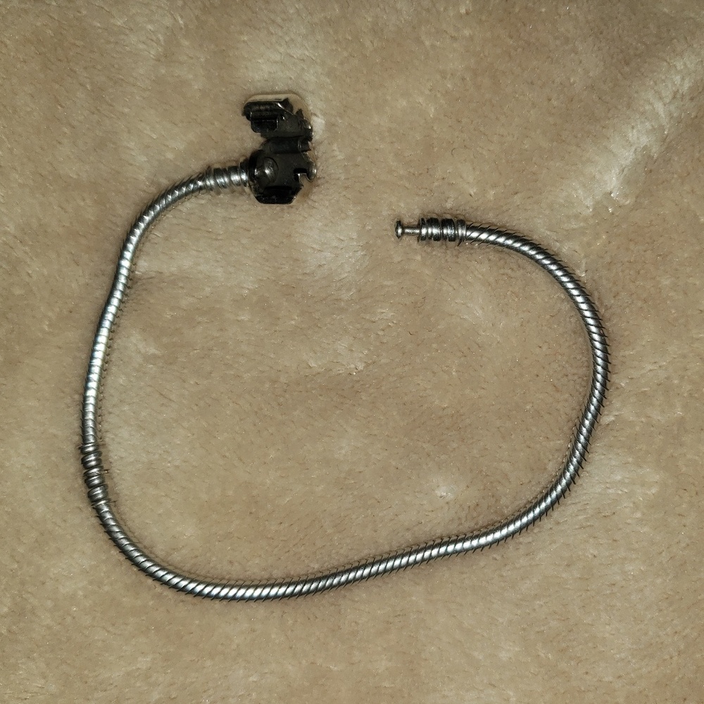 Pandora Bracelet for Charms
